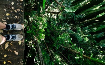 Operating Your Outdoor Attractions During COVID-19