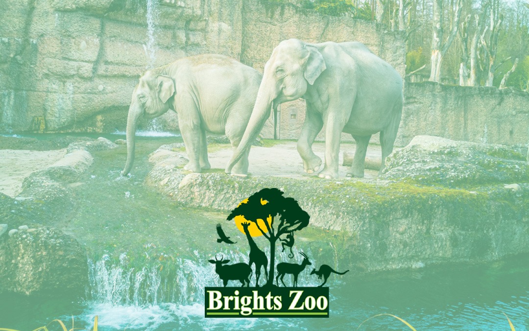 Streamlining Operations and Enhancing Visitor Experience: Brights Zoo’s Success with Gatemaster Technology